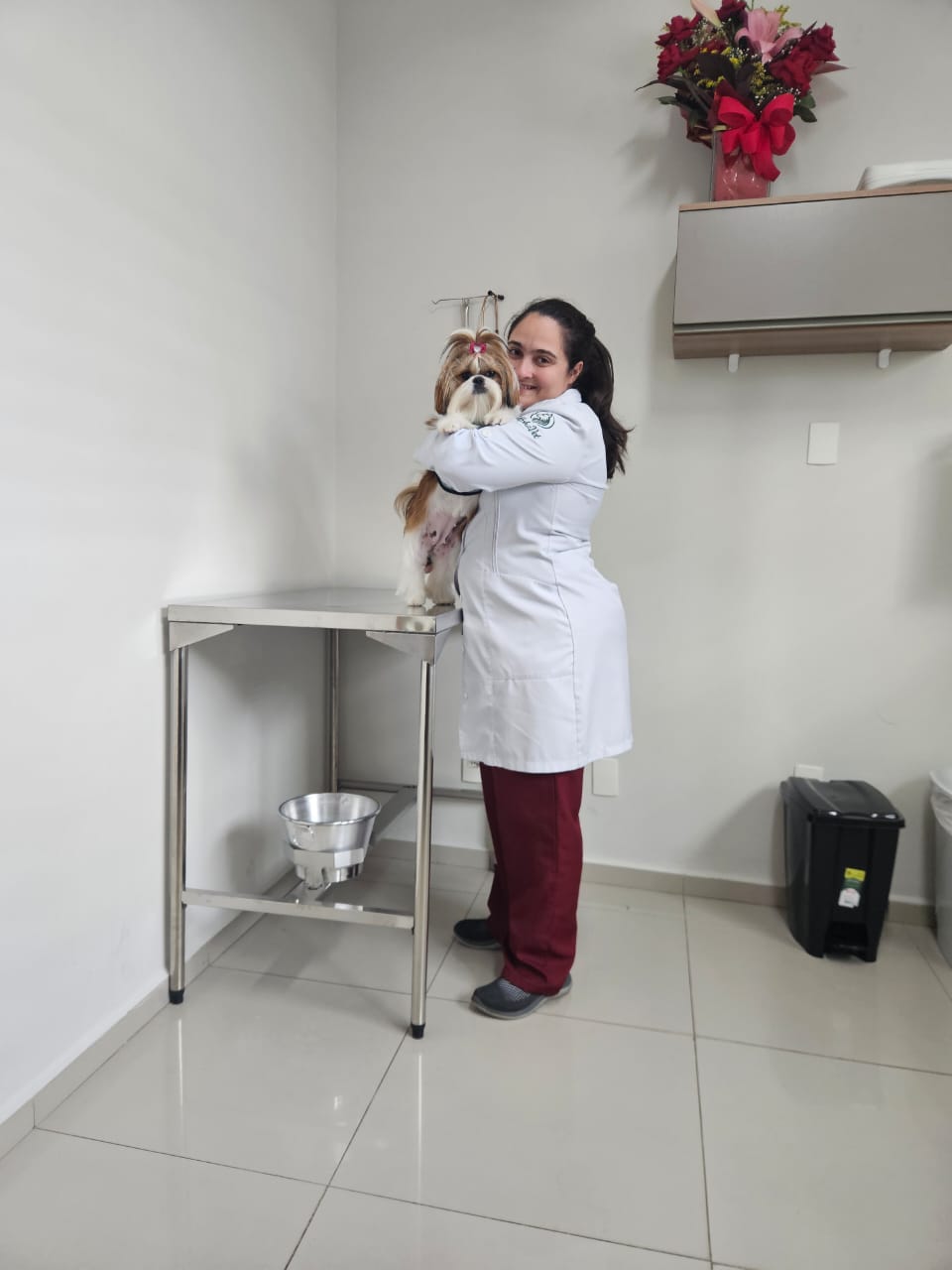 Estrutura interna da clínica Alphavet